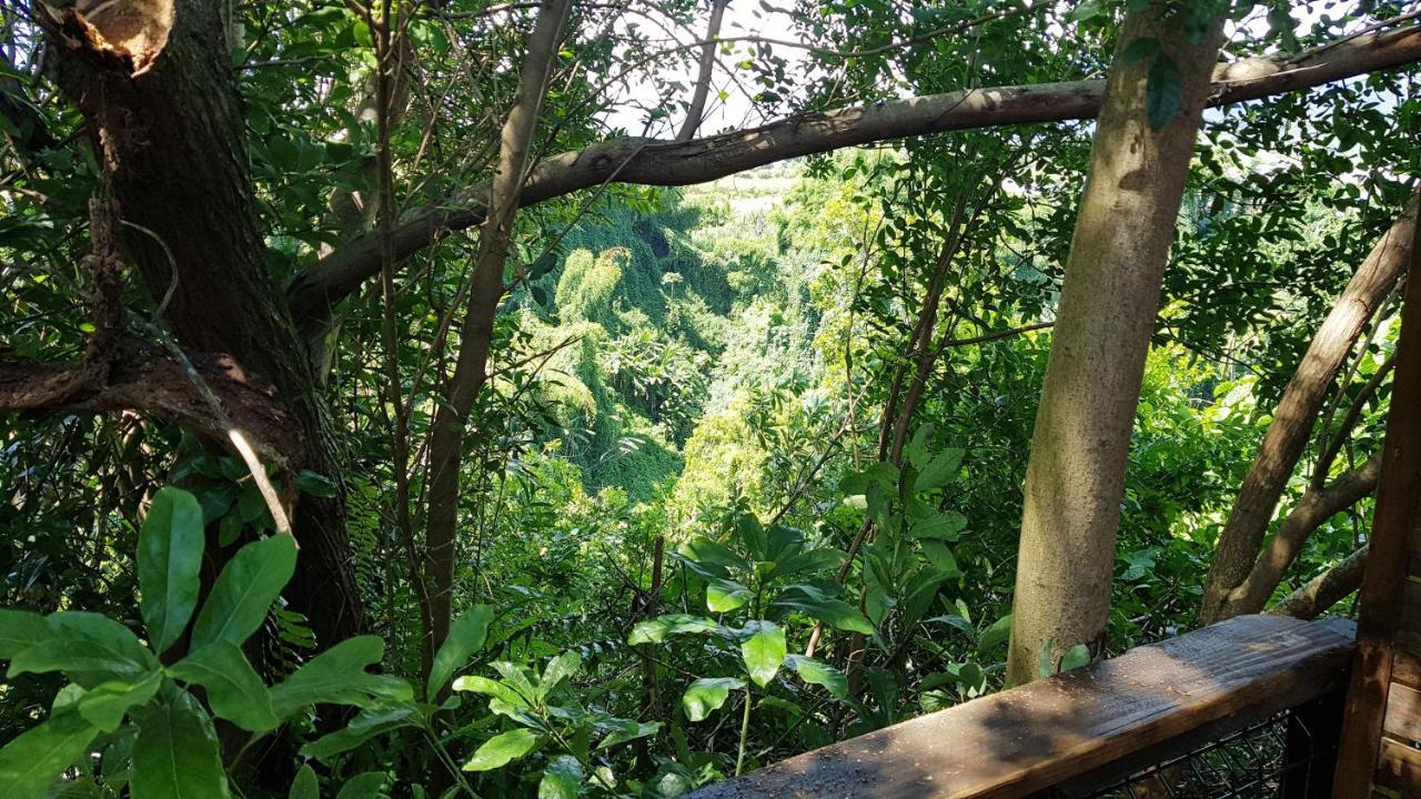 Le Lodge Origin Sainte-Suzanne Ngoại thất bức ảnh